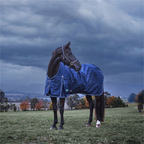 2025 Weatherbeeta Comfitec Vorläufig Sich Herausstellen 220G 1029032 - Navy Embossed Plaid